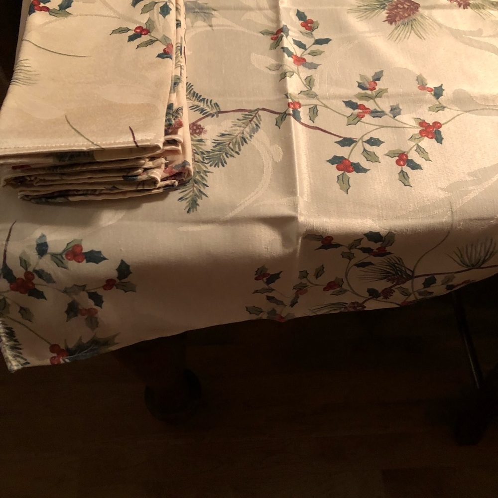 Napkins set of 10. Holiday red and green.Never used these napkins!